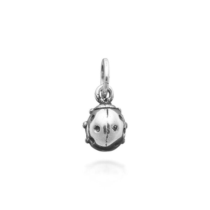 Ladybug Charm