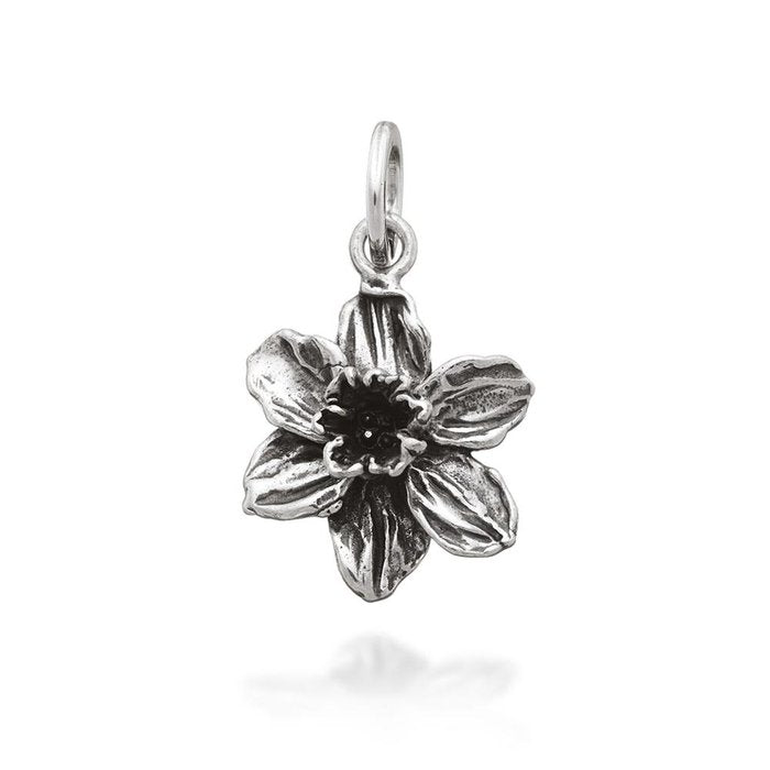 Charm Narciso