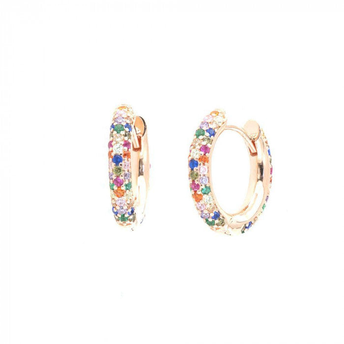 Orecchini in Argento