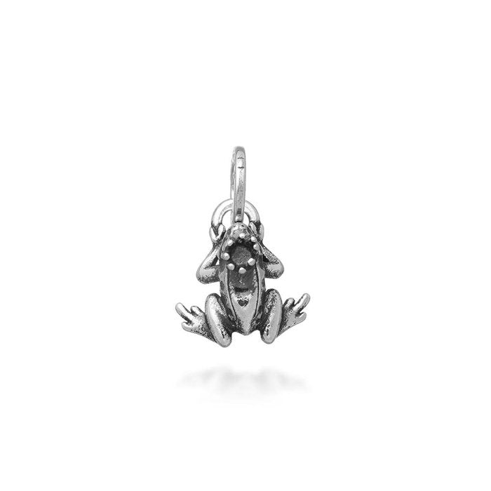 Charm Mini Principe Ranocchio