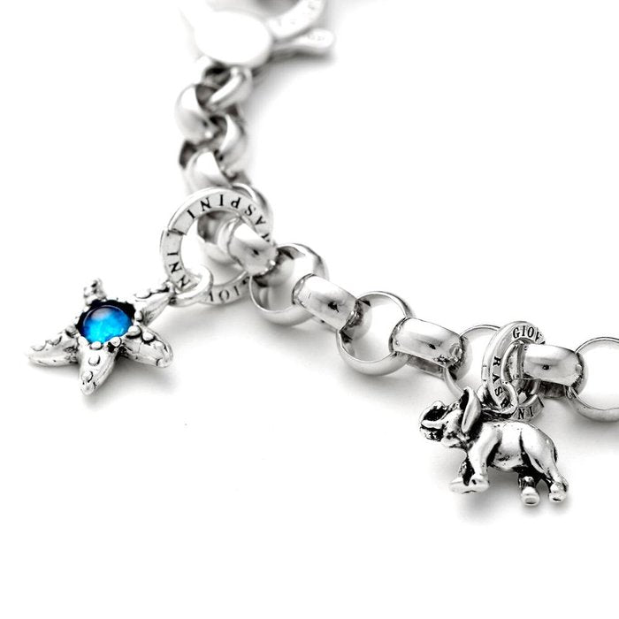 Charm Stella Marina Color