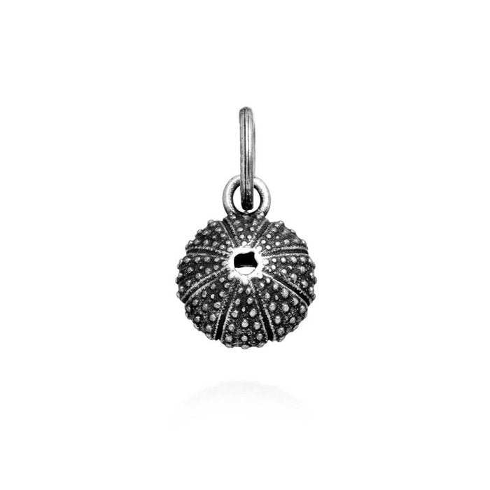 Charm Riccio Di Mare
