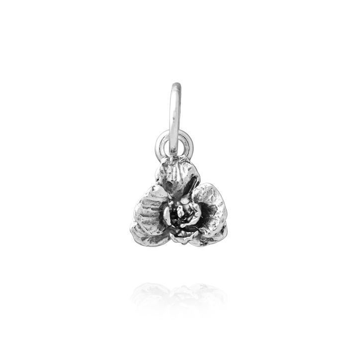 Charm Orchidea
