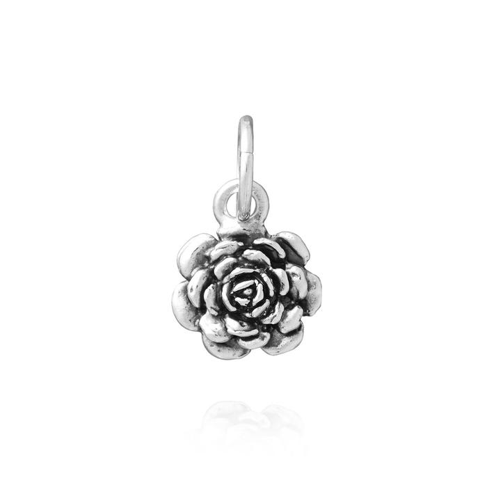 Charm Camelia