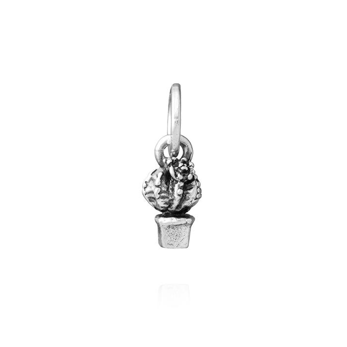 Charm Pianta Grassa
