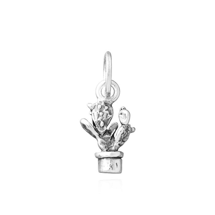 Charm Fico D'India