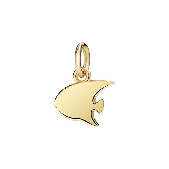 ANGEL FISH