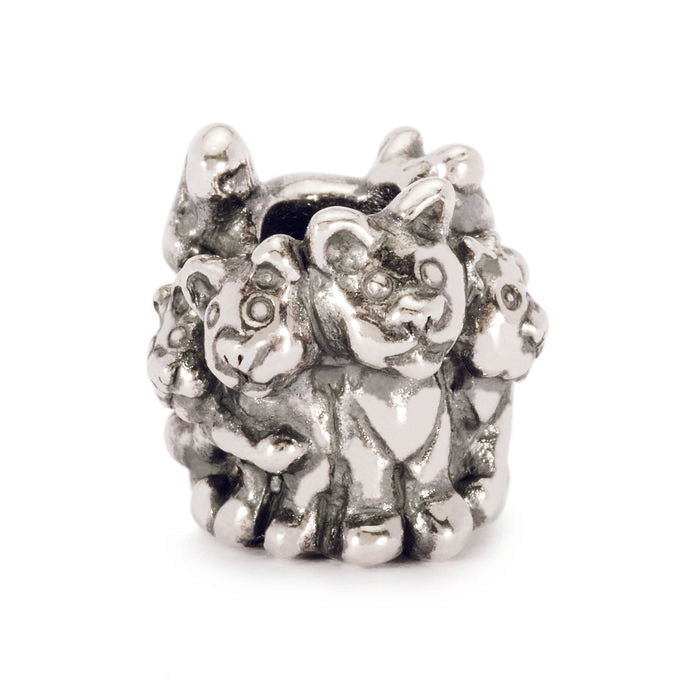 Bead famiglia di gattini