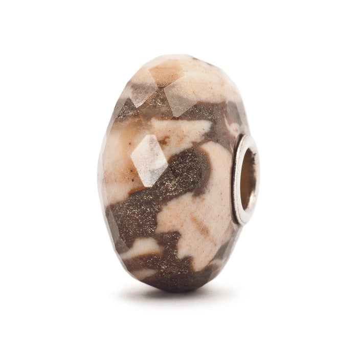 Zebra Jasper
