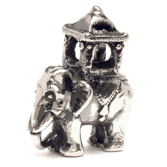 Elefante indiano