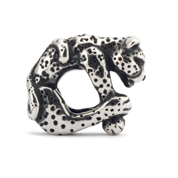 Leopardo