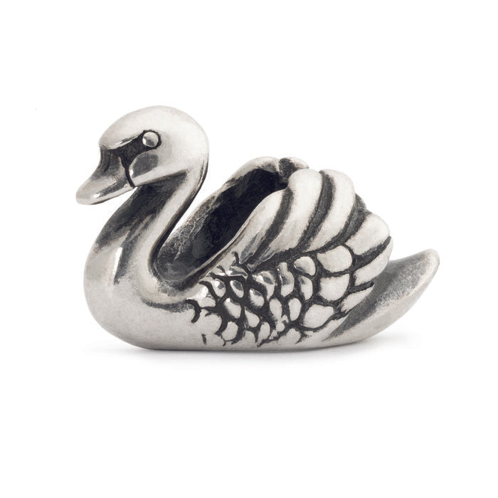 Cigno