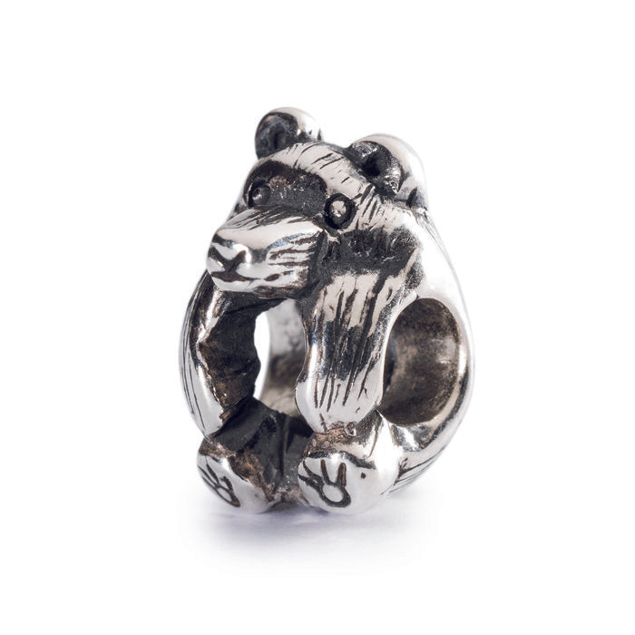 Orso Bruno