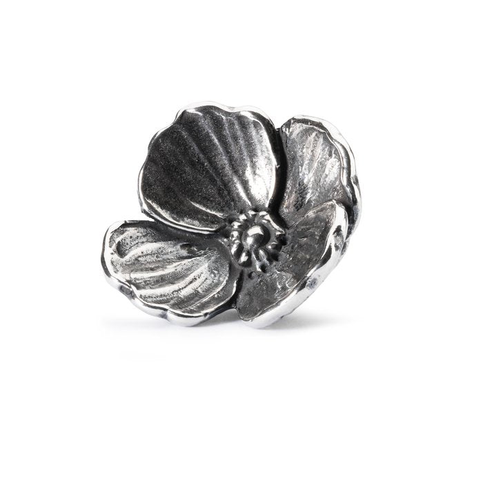 Fiore dell'Amore