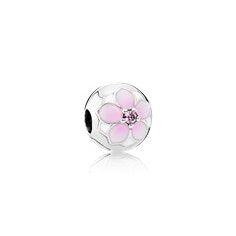 Clip fiore di magnolia