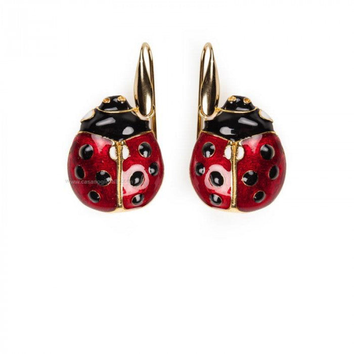 Coccinella