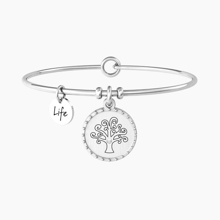 ALBERO | FAMIGLIA