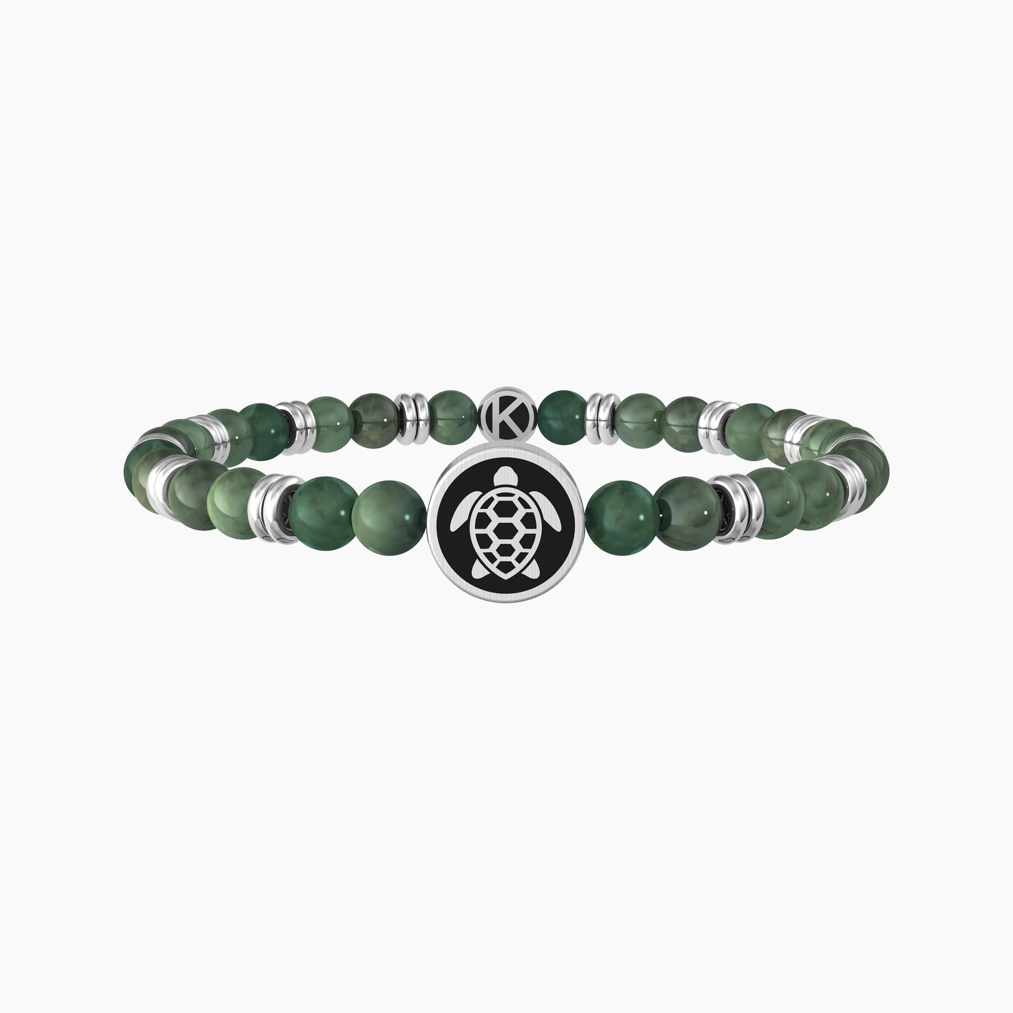 TORTUE | RÉSILIENCE