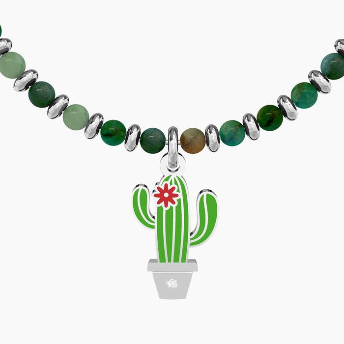 CACTUS | BEYOND APPEARANCES