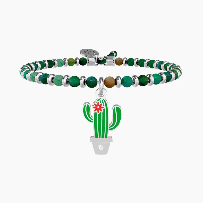 CACTUS | BEYOND APPEARANCES