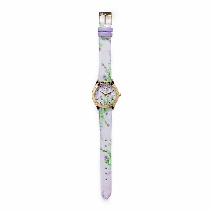 Orologio Glicine