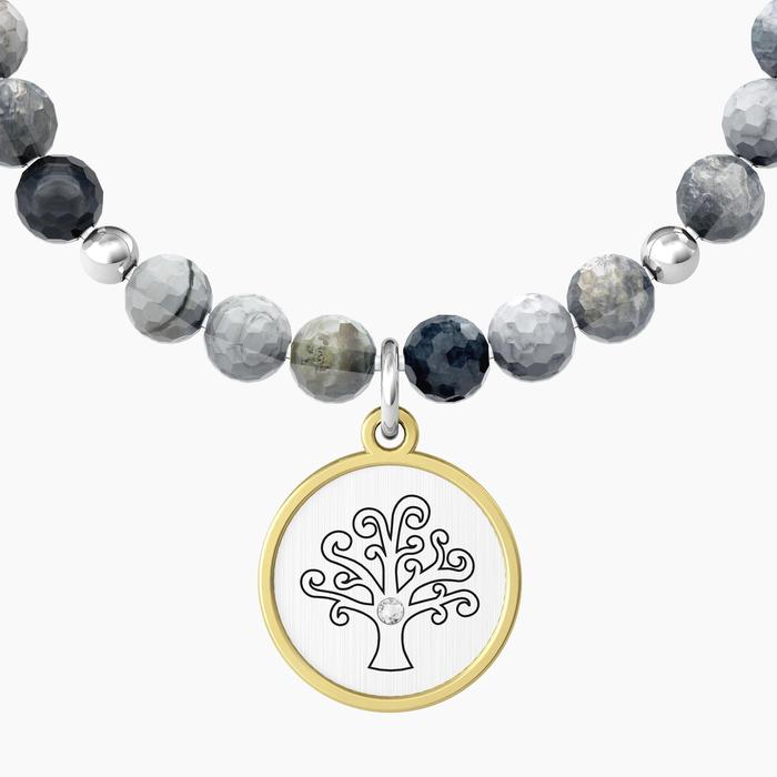 ALBERO | FAMIGLIA