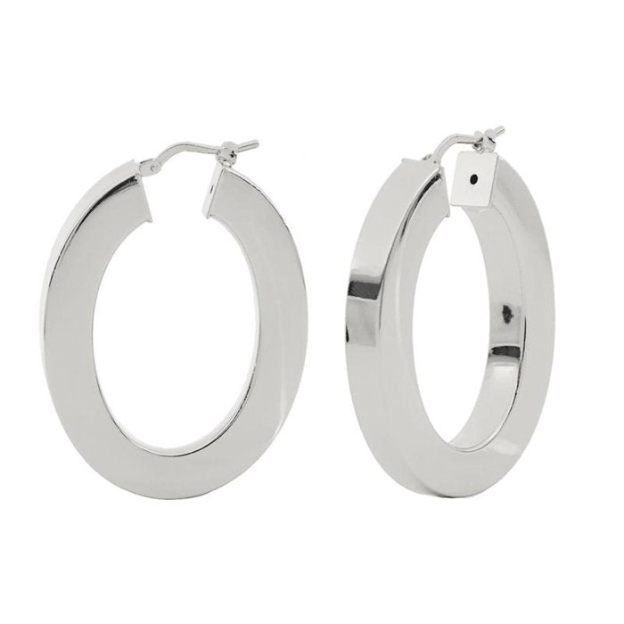 Silver plated bronze earrings