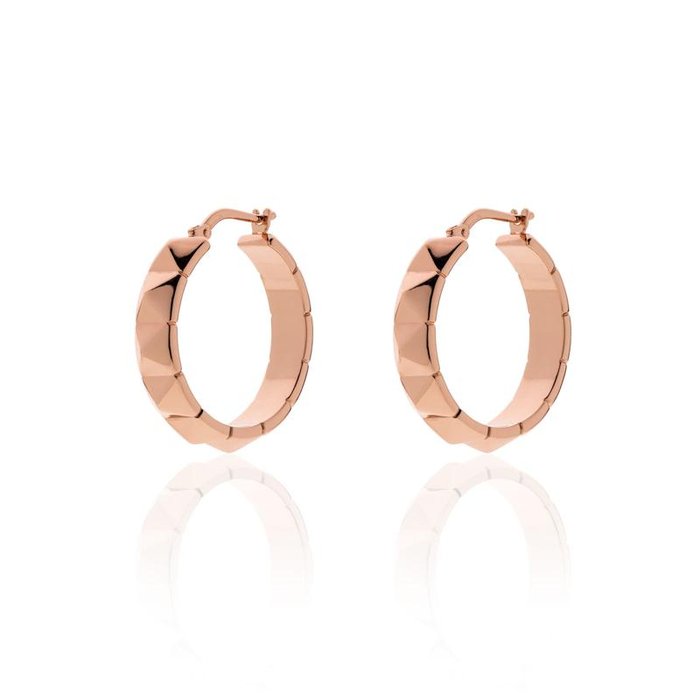 Orecchini in bronzo dorato rosa
