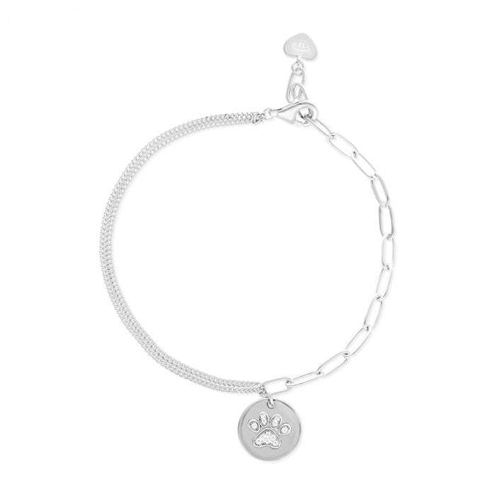 BRACELET POUR ANIMAUX DE COMPAGNIE