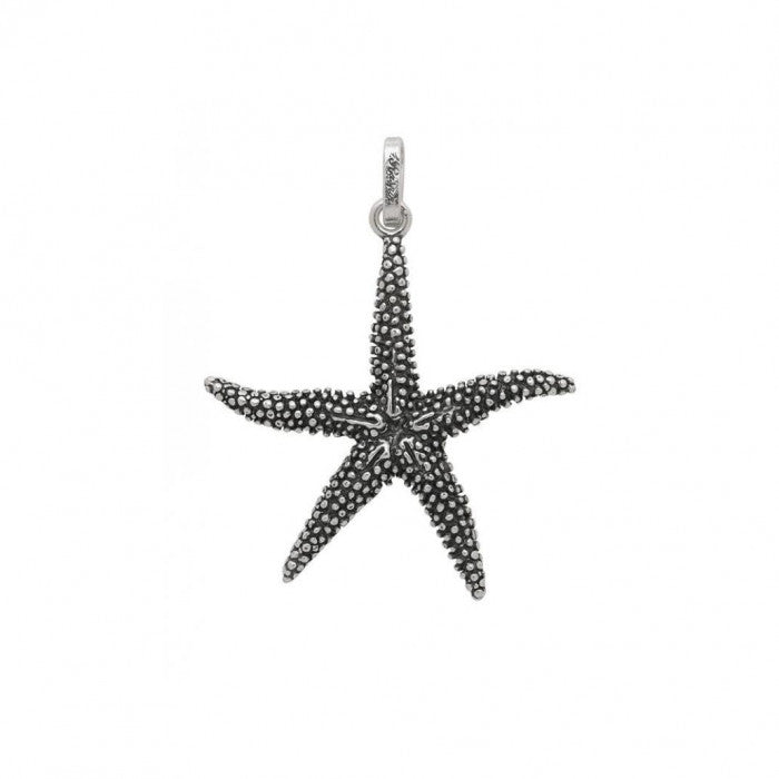 Big Starfish