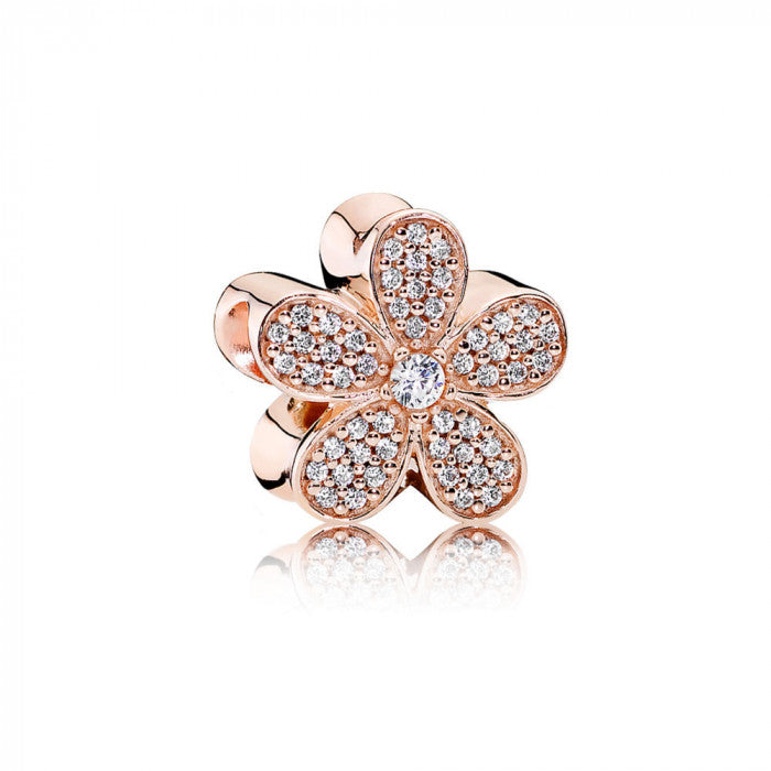 Charme de marguerite rosée brillante