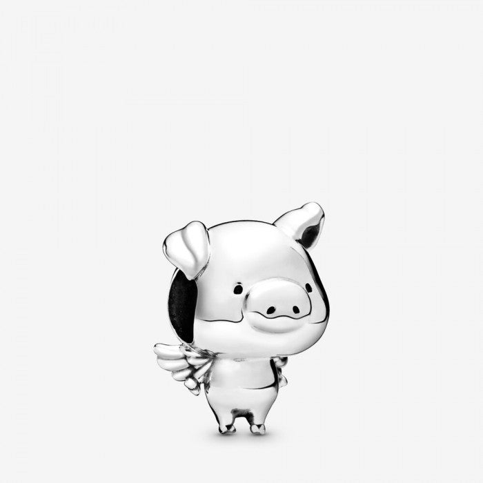 Charm Goofy the Flying Pig
