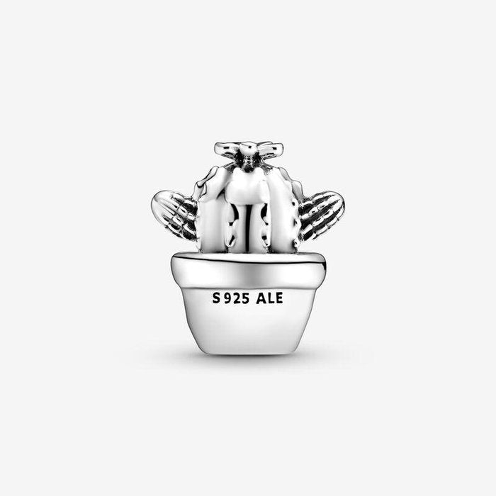 Charm Cactus