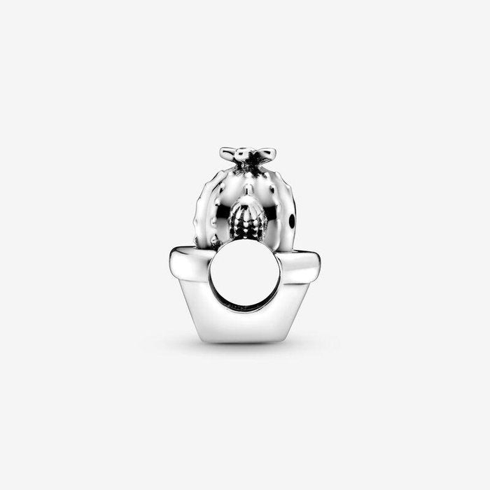 Charm Cactus