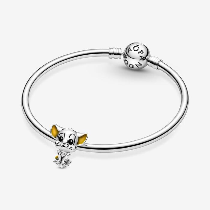 Charm Disney, charm Simba