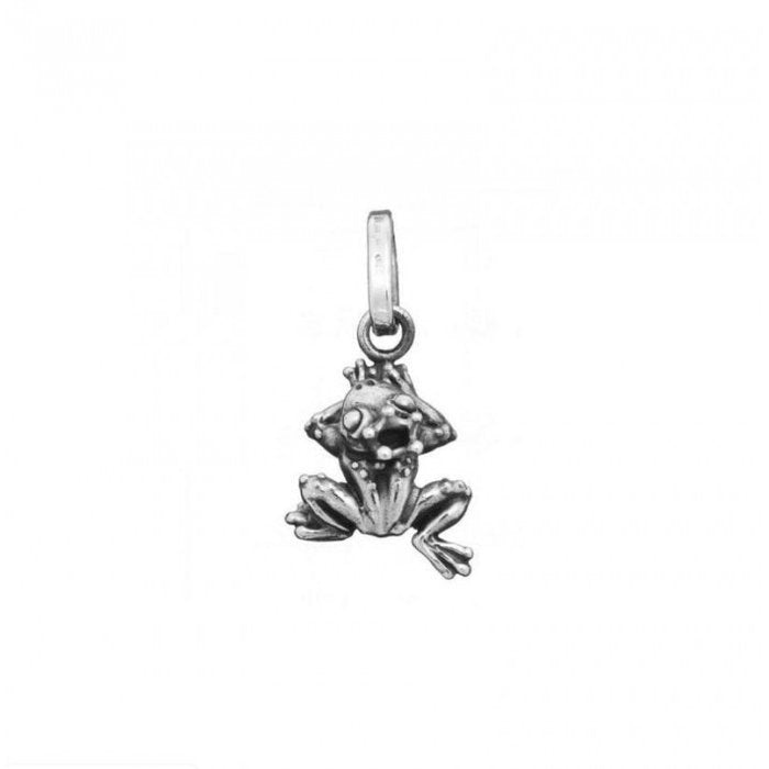 Frog Prince Charm