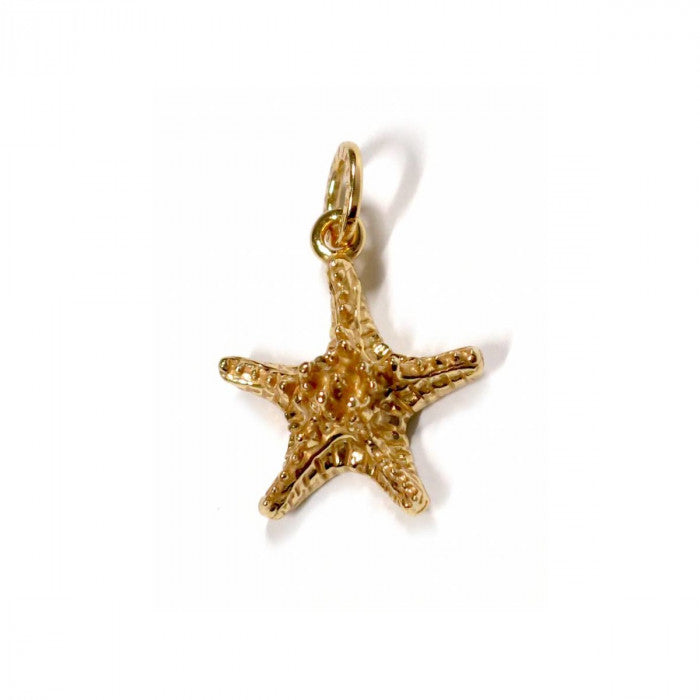 CHARM STELLA GRASSA DORATA