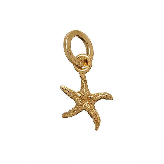CHARM STELLA MARINA DORATA