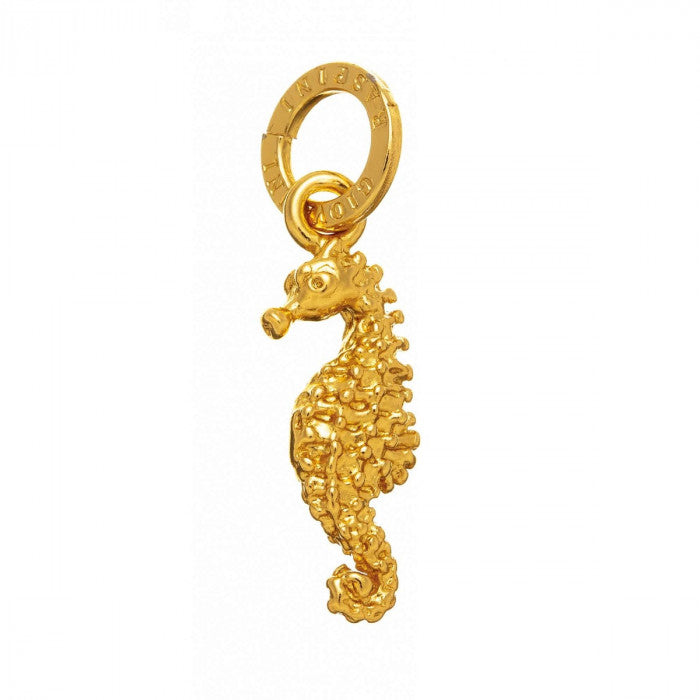 CHARM CAVALLUCCIO MARINO DORATO