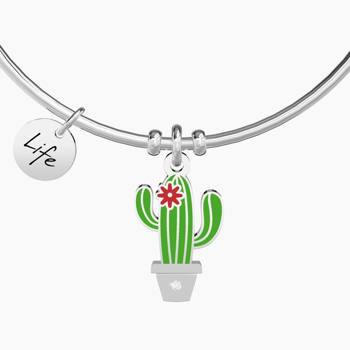 CACTUS | OLTRE LE APPARENZE