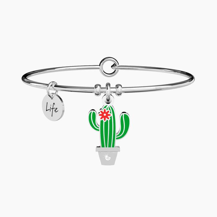 CACTUS | OLTRE LE APPARENZE