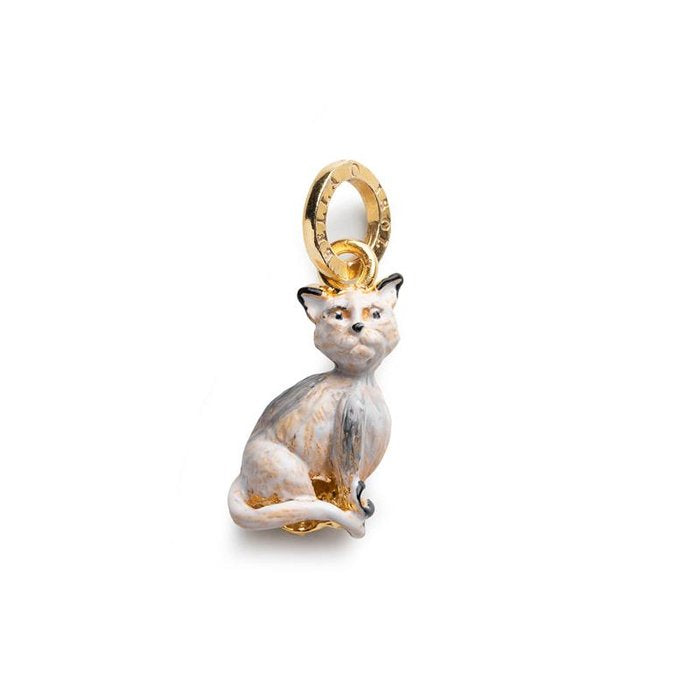 Charme de chat