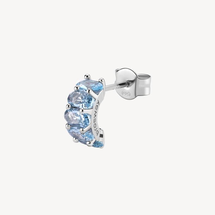 FANCY Earring