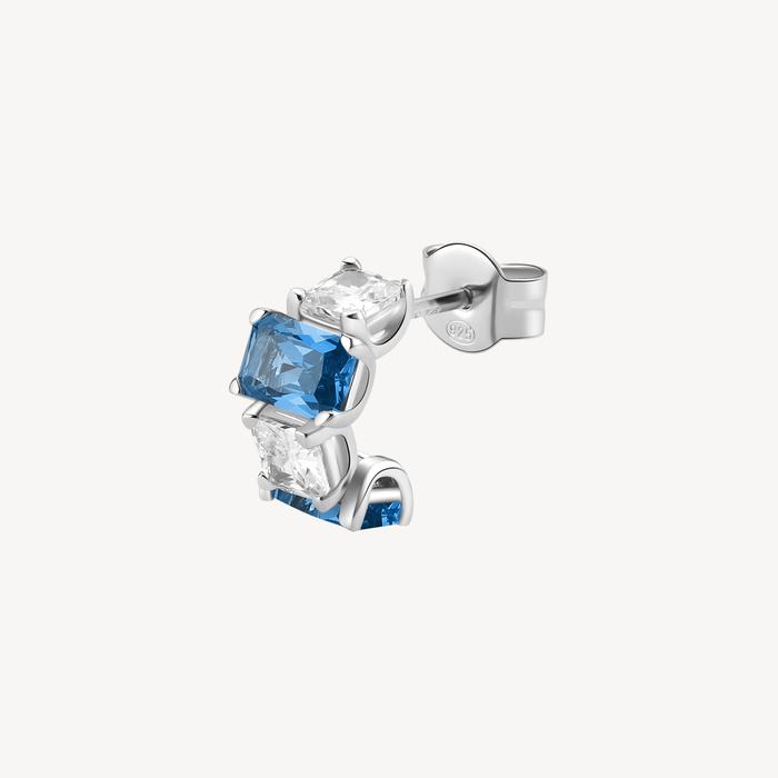 FANCY Earring