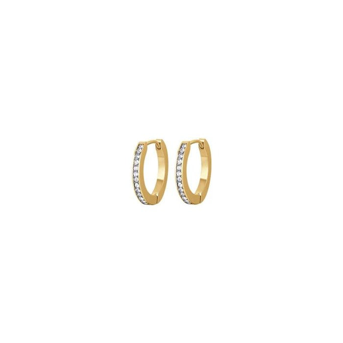 Orecchini in acciaio ip gold