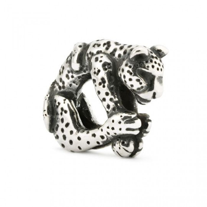 Leopardo