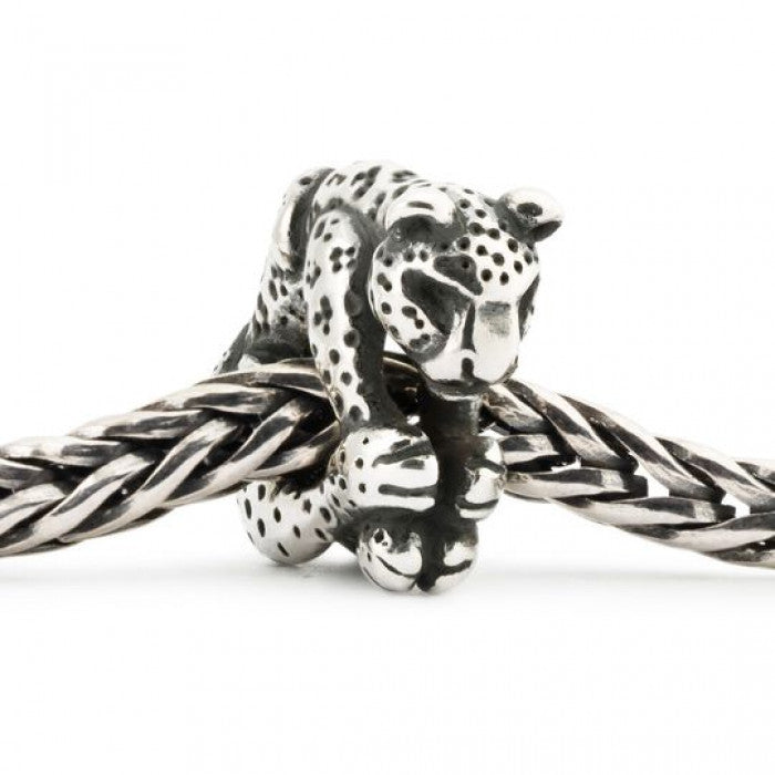 Leopardo