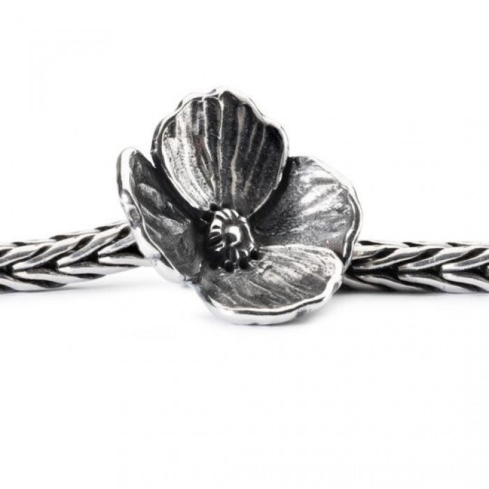 Fiore dell'Amore