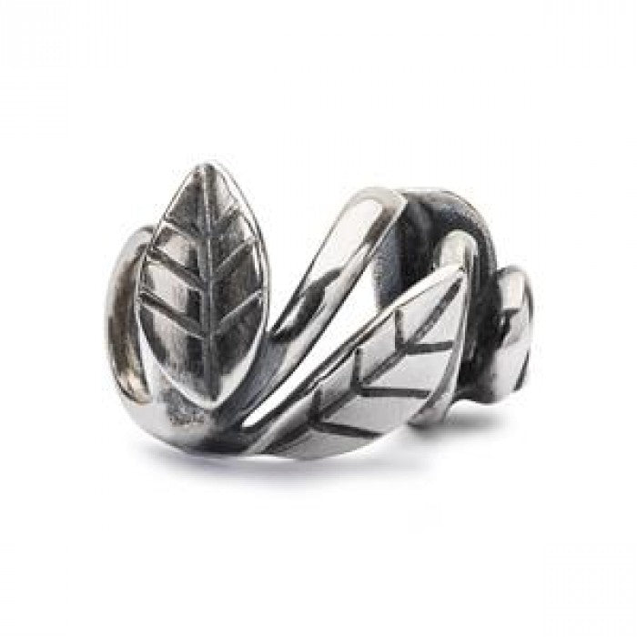 Bead vortice della natura
