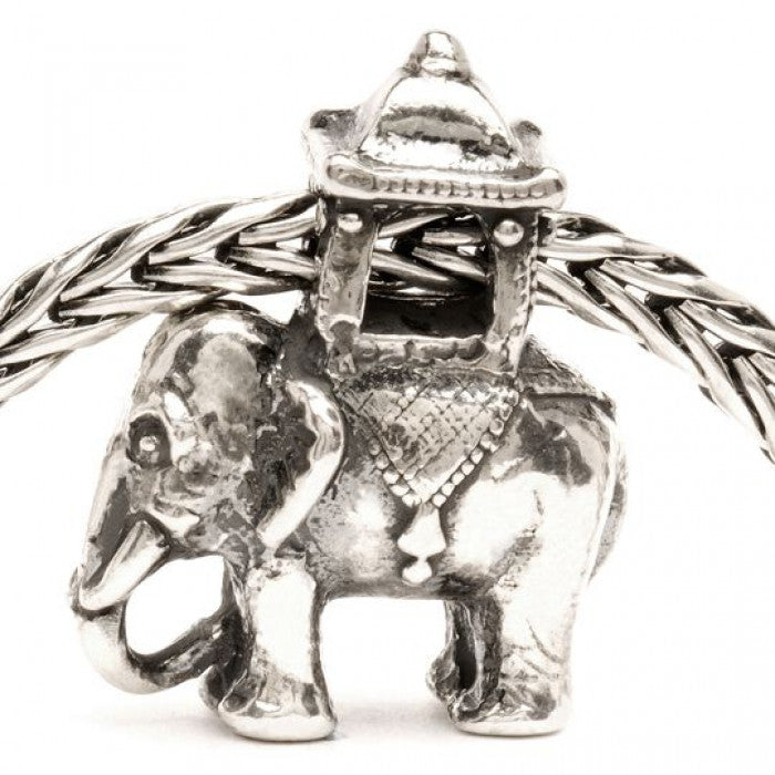 Elefante indiano